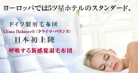 スイーコ・インターナショナル　写真